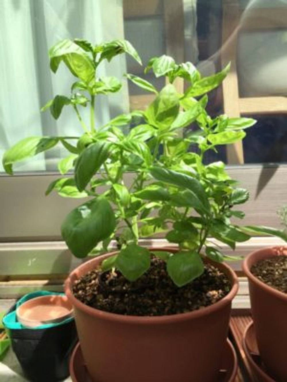 Photo by ookumaさん@GreenSnap