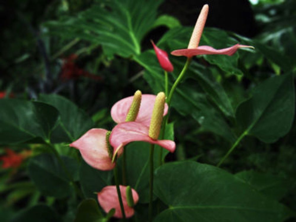 Photo by Je suis…さん@GreenSnap