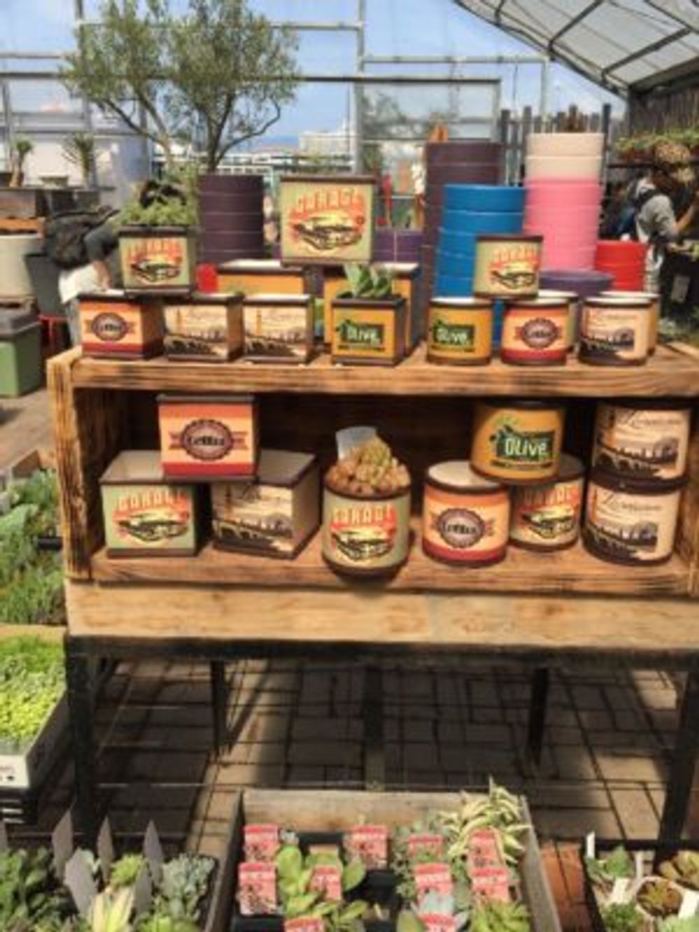 Photo by pooさん@GreenSnap