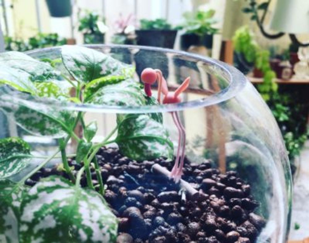 Photo by kaziochanさん@GreenSnap