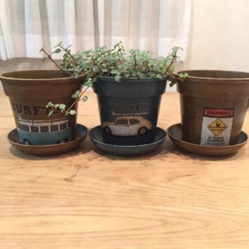 観葉植物用の植木鉢の選び方 デザイン性と機能性 Greensnap グリーンスナップ