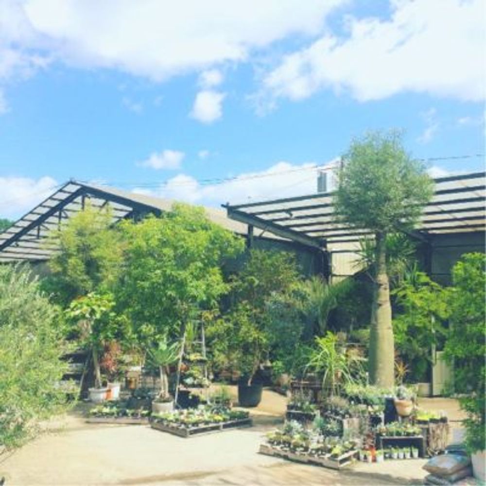 Photo by marukyu_09さん@GreenSnap