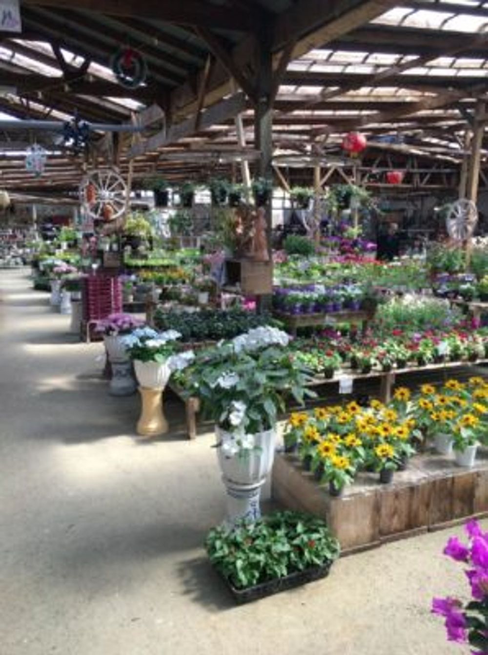 Photo by あさん@GreenSnap