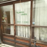 観葉植物専門店・チランジアガーデンの画像