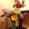 開店祝いを贈るなら知っておきたい！おすすめの観葉植物と豆知識の画像