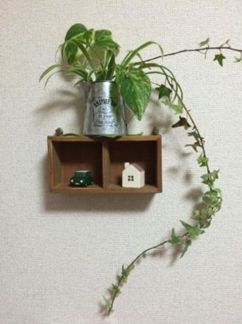 北欧風の観葉植物にぴったり おすすめの鉢カバー Greensnap グリーンスナップ 北欧風の観葉植物にぴったり おすすめの鉢カバー Greensnap グリーンスナップ