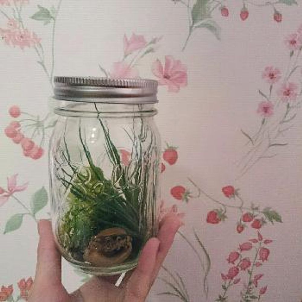 1465992551345_thum_1465992550977_thum_sample