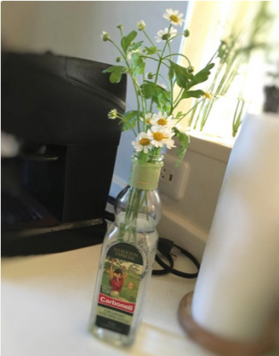 スクリーンショット 2016-12-17 19.15.49