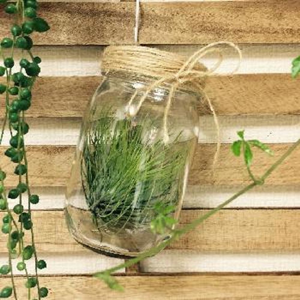 1436541064598_thum_1436540996725_thum_image