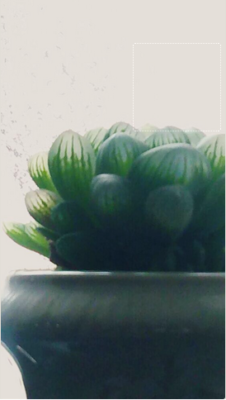 スクリーンショット 2016-12-19 14.47.48