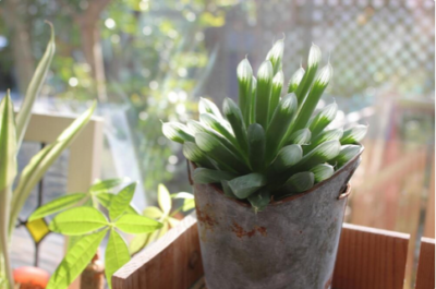 スクリーンショット 2016-12-19 14.53.30