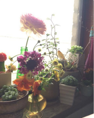 スクリーンショット 2016-12-19 16.24.57