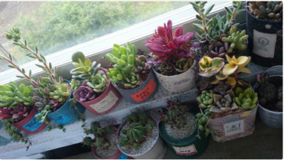 スクリーンショット 2016-12-19 16.26.59