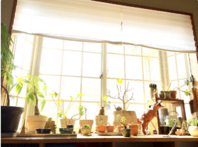 スクリーンショット 2016-12-19 16.30.38