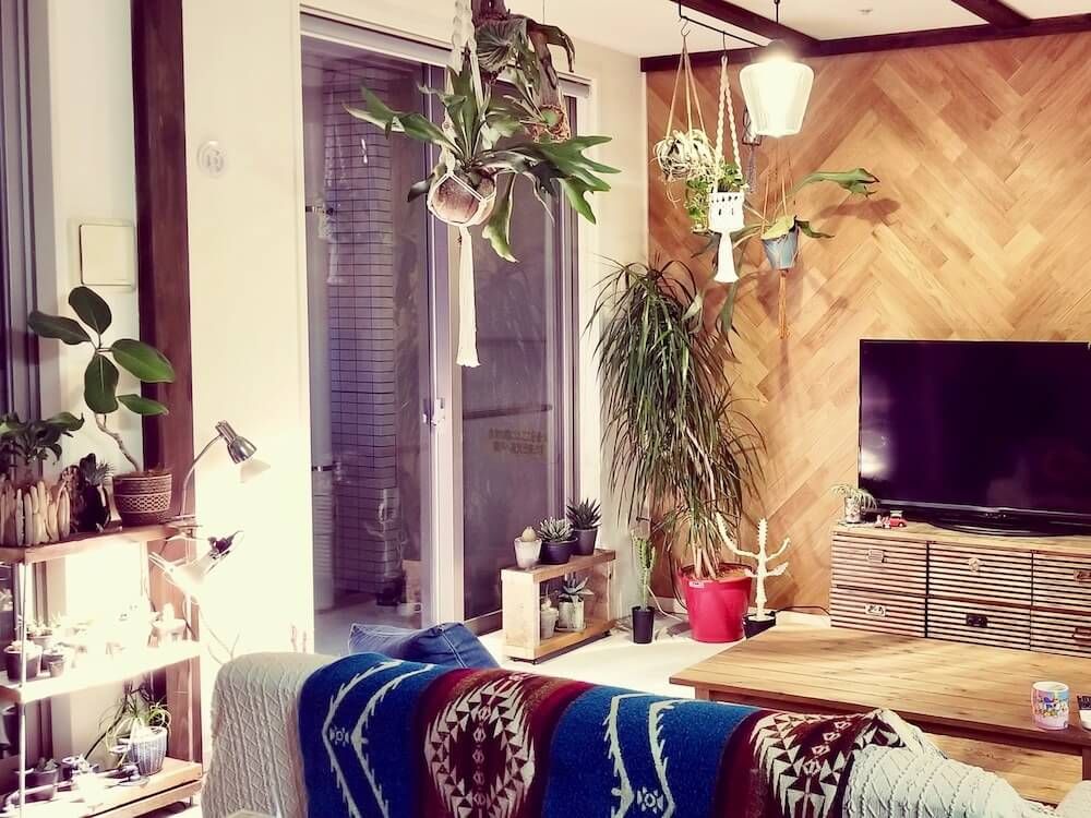 観葉植物　吊るす