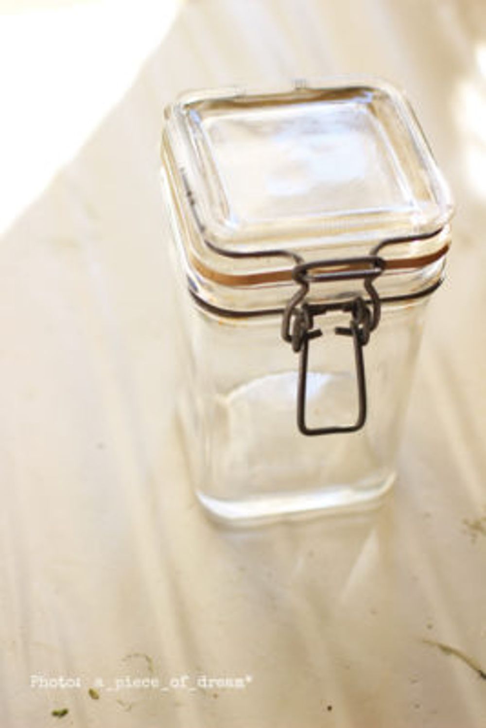 a_piece_of_dream290106-2