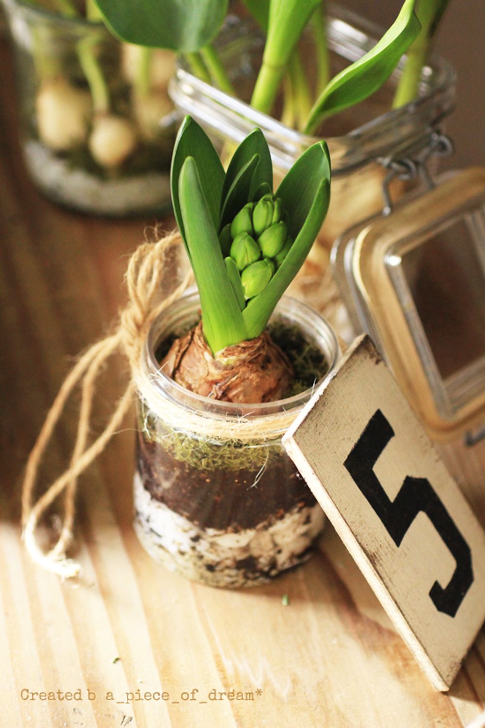 a_piece_of_dream290106-5