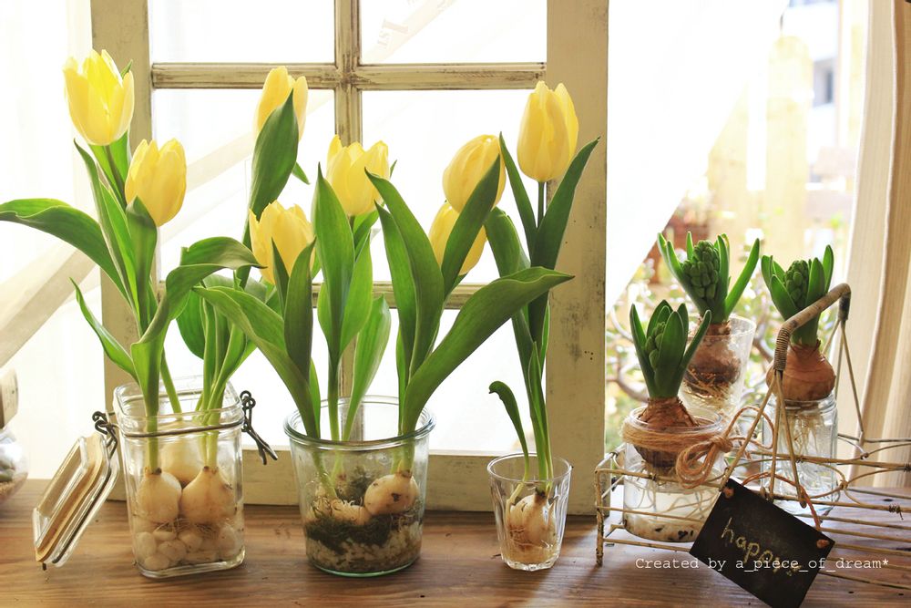 a_piece_of_dream290106-9