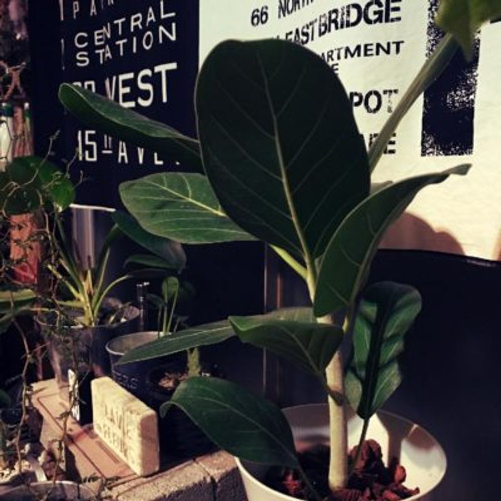 Photo by 70mixさん@GreenSnap