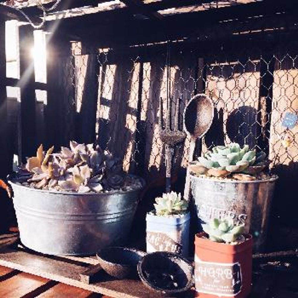 1484090698562_thum_1484090698130_thum_tmp