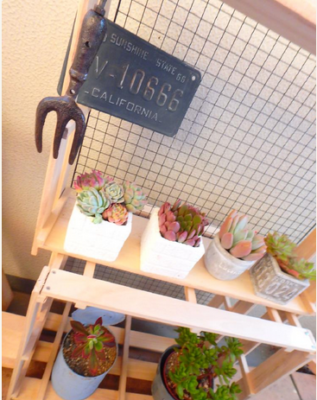 スクリーンショット 2017-01-19 8.30.40