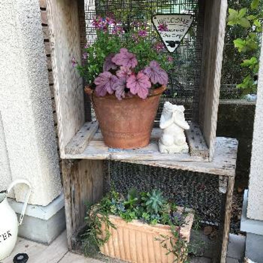 1463471179228_thum_1463471178801_thum_tmp