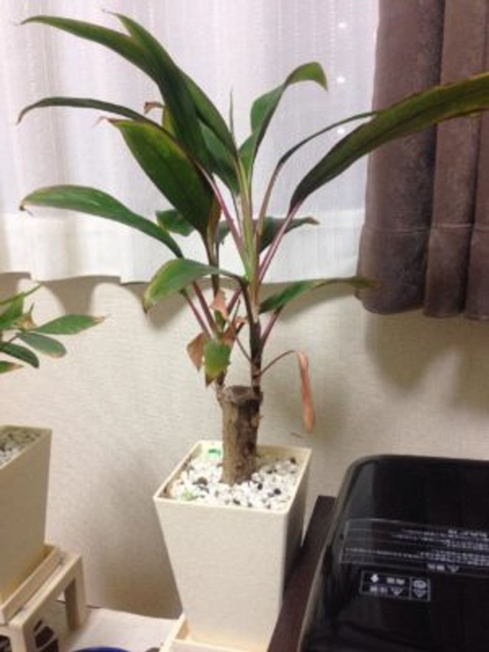 Photo by youさん@GreenSnap