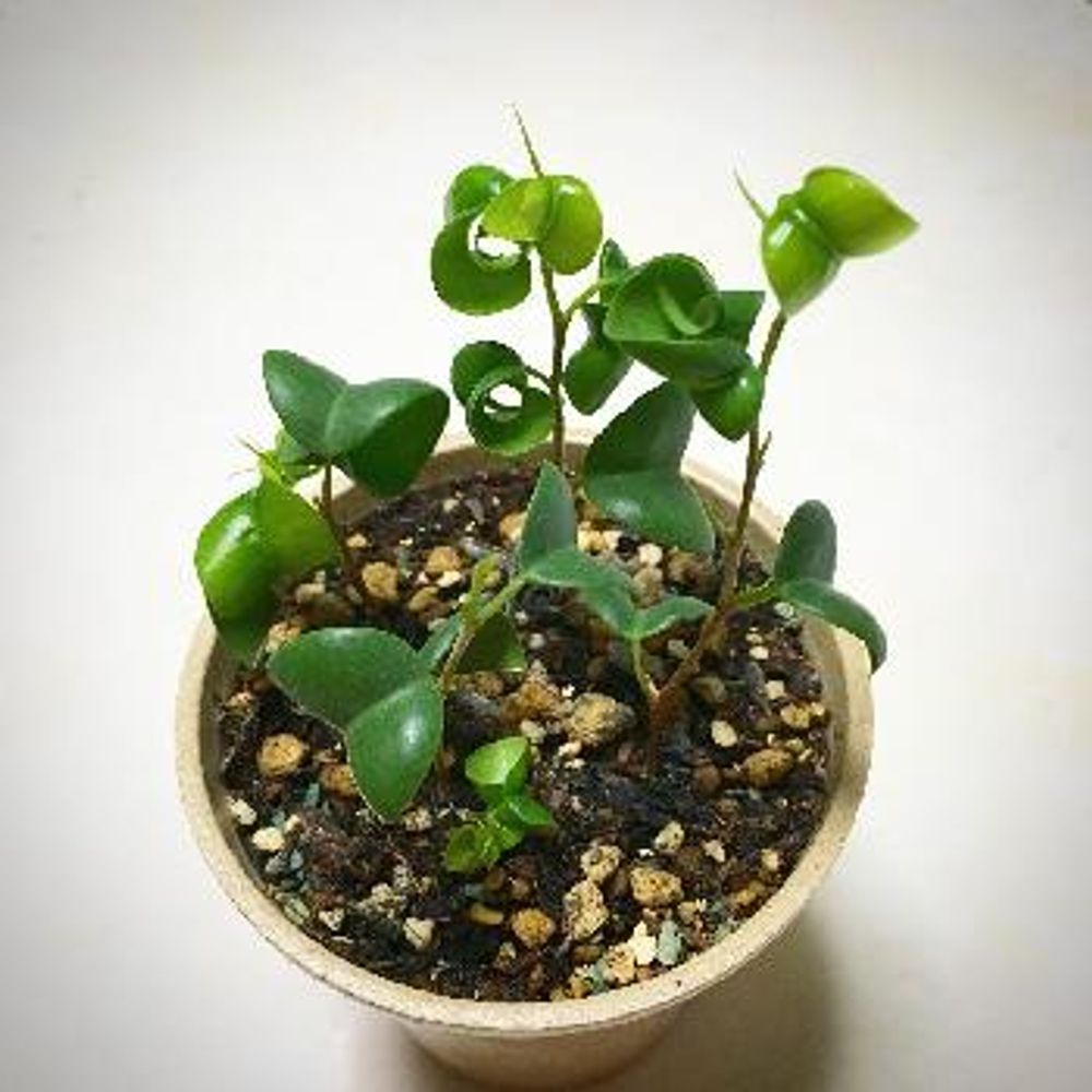 Photo by teddy75さん