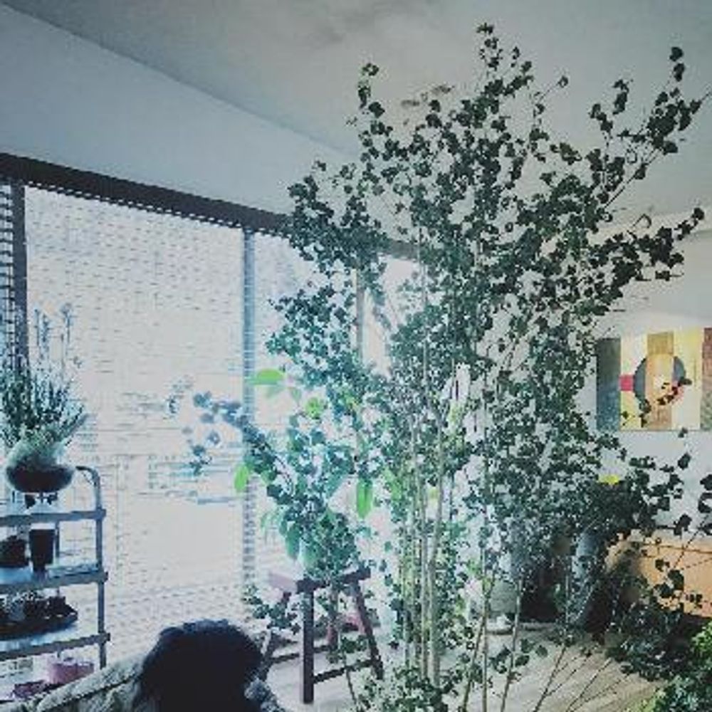 Photo by ringoさん