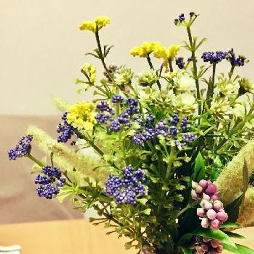 人工観葉植物の風水には効果がある Greensnap グリーンスナップ 人工観葉植物の風水には効果がある Greensnap グリーンスナップ