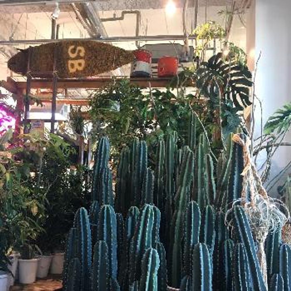 Photo by 花屋誠一朗さん