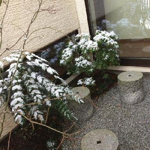 和の雰囲気が凝縮された空間 坪庭 Greensnap グリーンスナップ