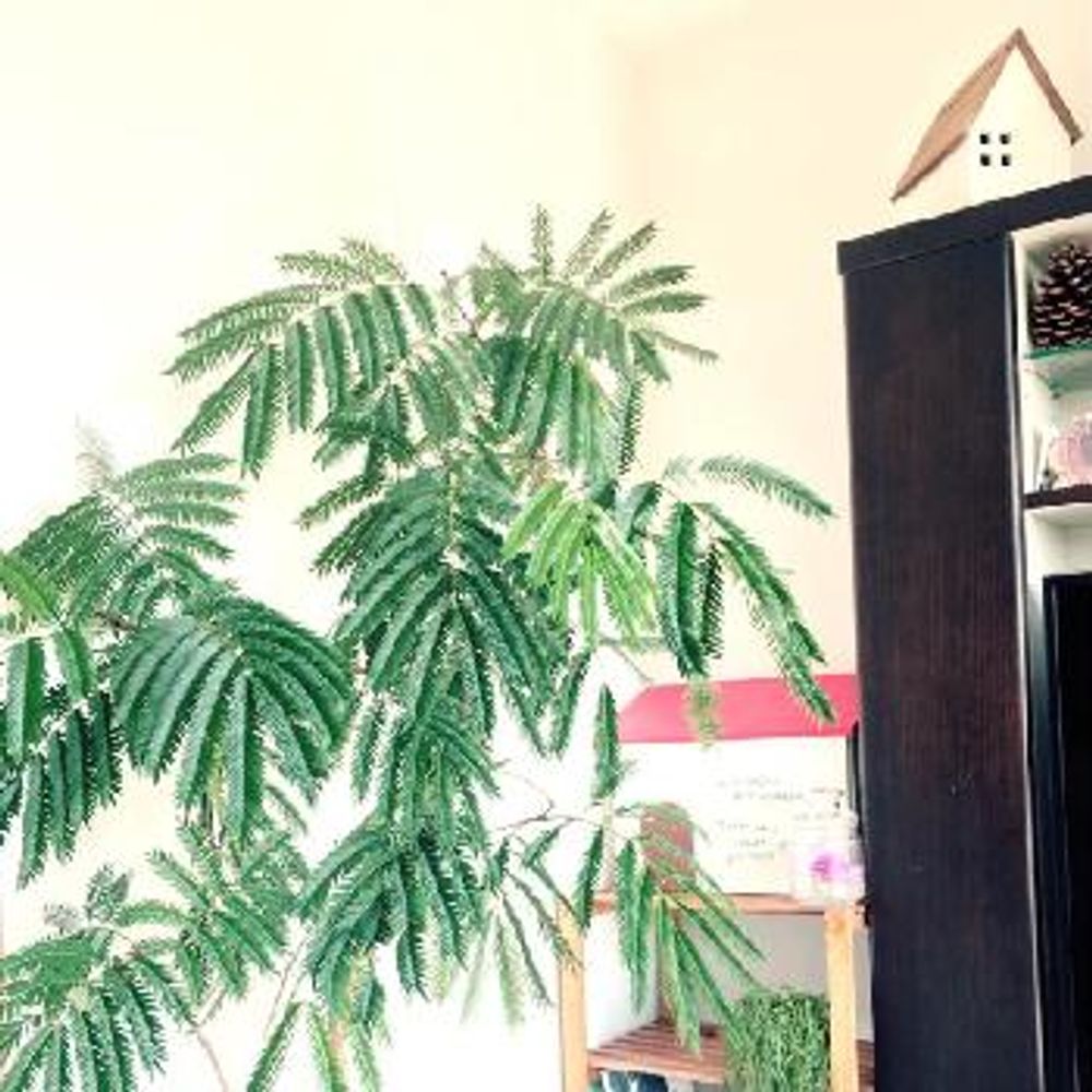 Photo by Mitsuさん