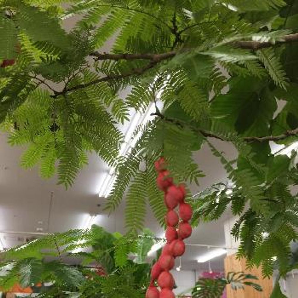 Photo by マリリン さん