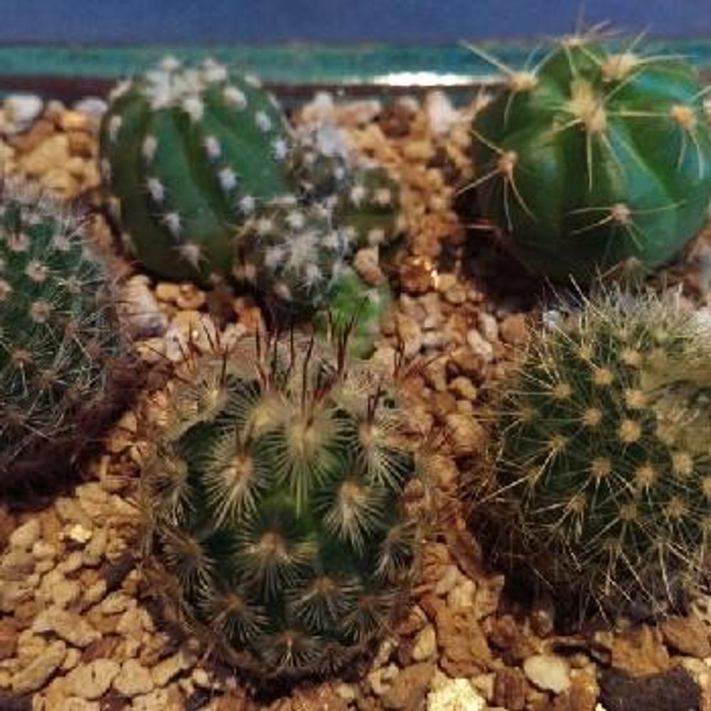 Photo by チャキ(๑❛ᴗ❛๑)さん