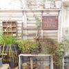 小さなベランダが癒やし空間に！ベランダガーデナーの素敵フォト7選の画像