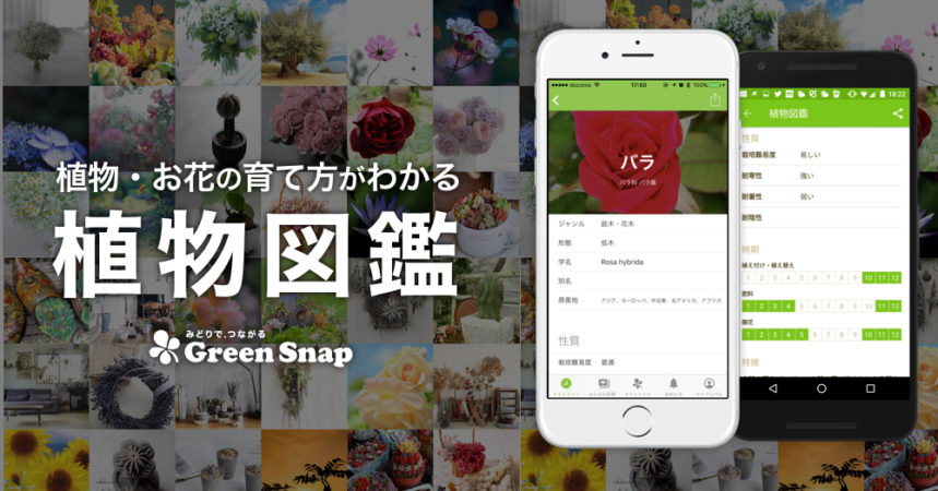 アプリアップデート 植物図鑑を搭載しました