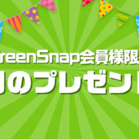 ＼GreenSnap会員様限定／ 6月のアンケートプレゼントの画像