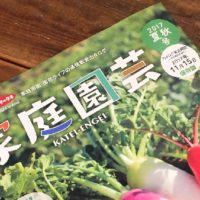 ＼無料プレゼント実施中／今年の夏秋は何を収穫する？の画像