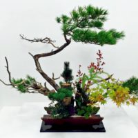 6/7は「いけばなの日」日本の伝統文化に触れてみよう！の画像