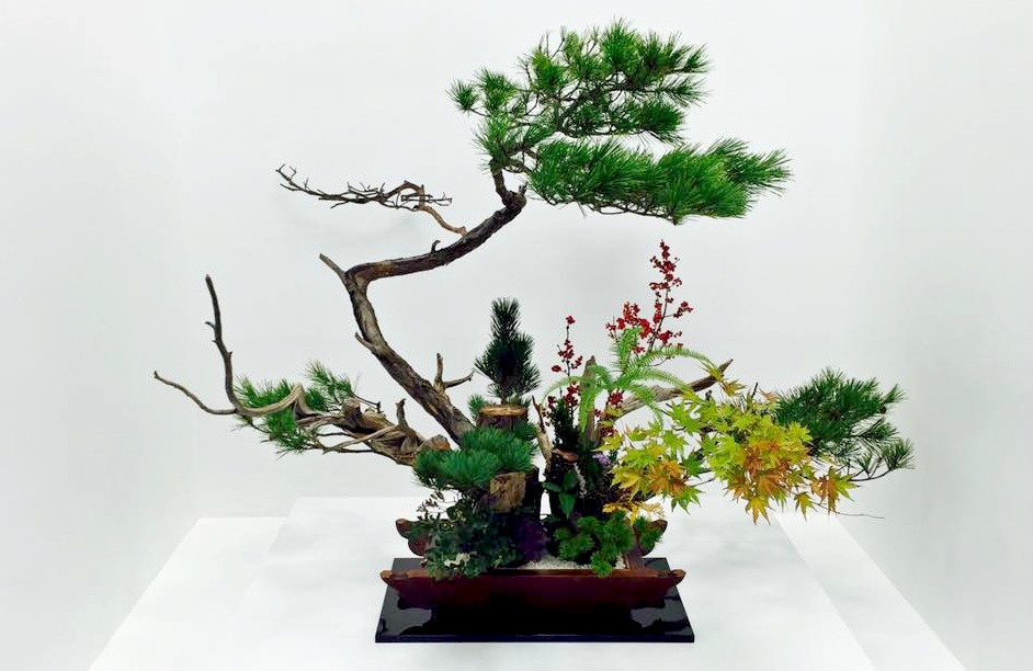 14316988_1150758464963278_3044