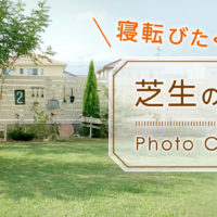 困っていた方必見、芝生雑草処理の救世主！の画像