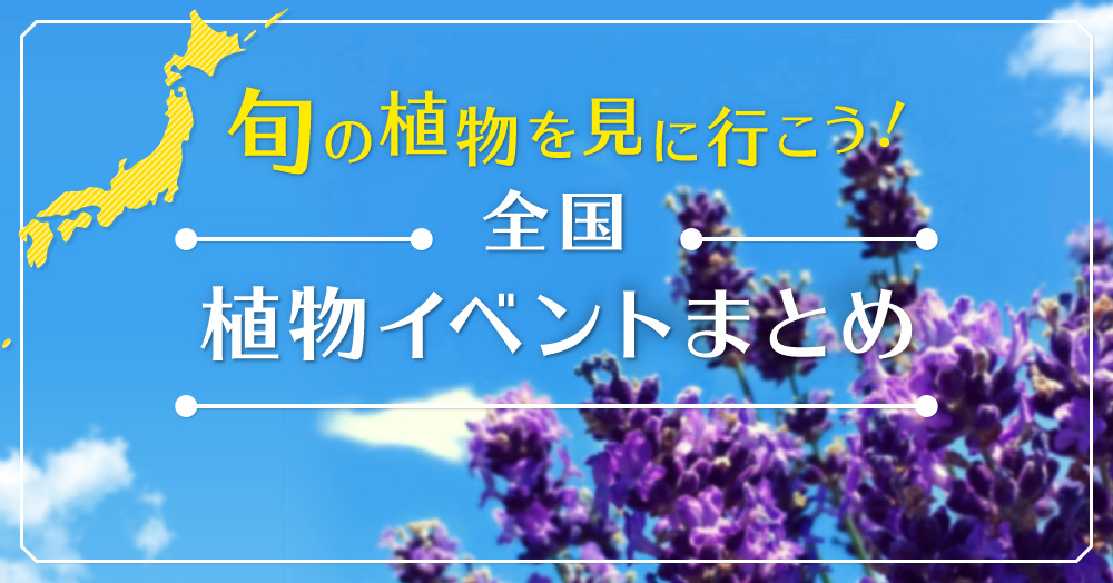 旬の植物を見に行こう 全国の植物イベント一覧