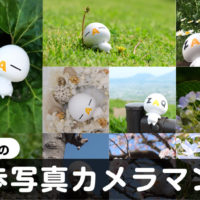 GreenSnap会員様限定、ざっくぅのお散歩写真カメラマン募集（8月・9月）【PR】の画像