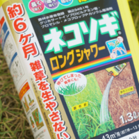 みんなが効果実感した除草剤の決定版！ネコソギシリーズの威力とは・・？！の画像