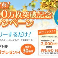 【祝】投稿写真 累計400万枚突破記念キャンペーン開催?の画像