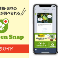 【使い方ガイド】植物・お花の病害虫が調べられるLINEアカウント『Dr.GreenSnap』の画像