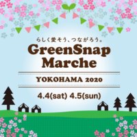 【新型コロナウイルス感染症拡大防止に伴うイベント延期のお知らせ】の画像