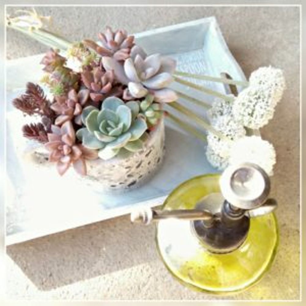 Photo by 肉の爪さん