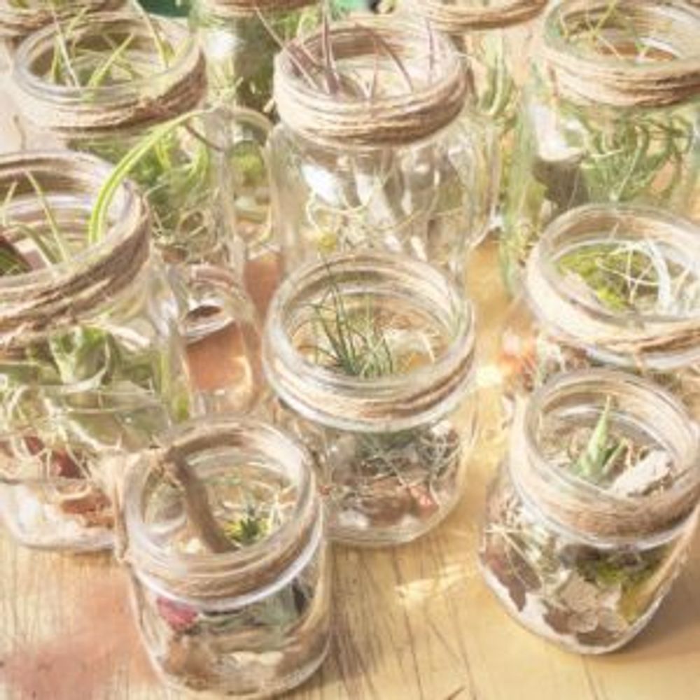 Photo by edeloonさん